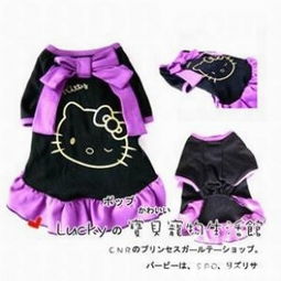 引領寵物時尚，打造溫馨生活 Dog Society 的寵物服飾與用品王國